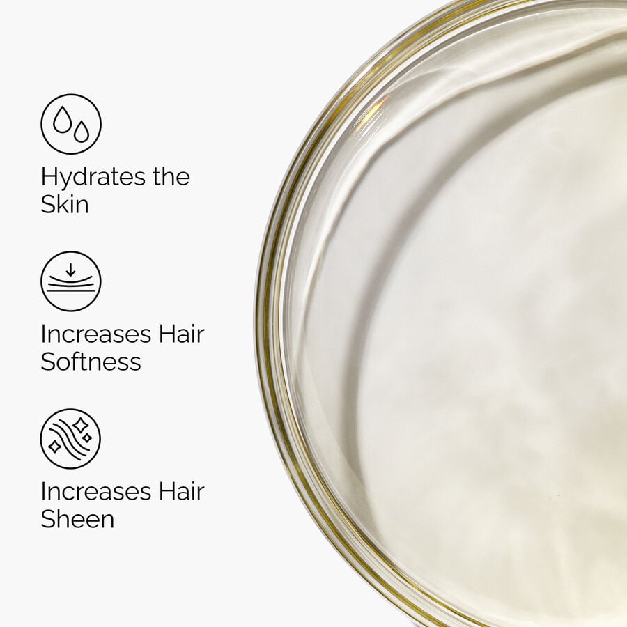 100-organic-cold-pressed-moroccan-argan-oil-i8 FY25-D41247-ORD-Web-PDP-100-Argan-Oil-1x1-EN-3.jpg