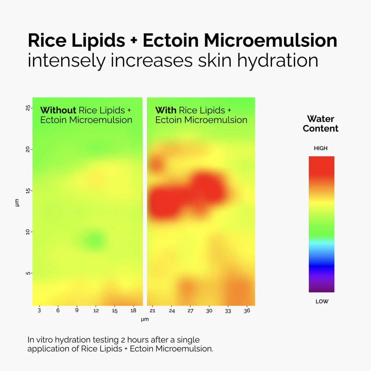 rice-lipids-ectoin-microemulsion-m1 ord-rice-lipids-ectoin-microemulsion-thermal-before-after.jpg